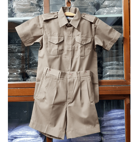 ลูกเสือสามัญ